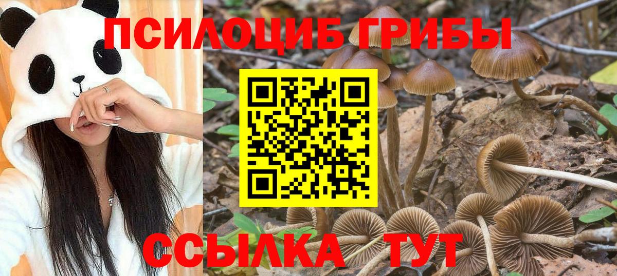 Галлюциногенные грибы мухоморы Шелехов